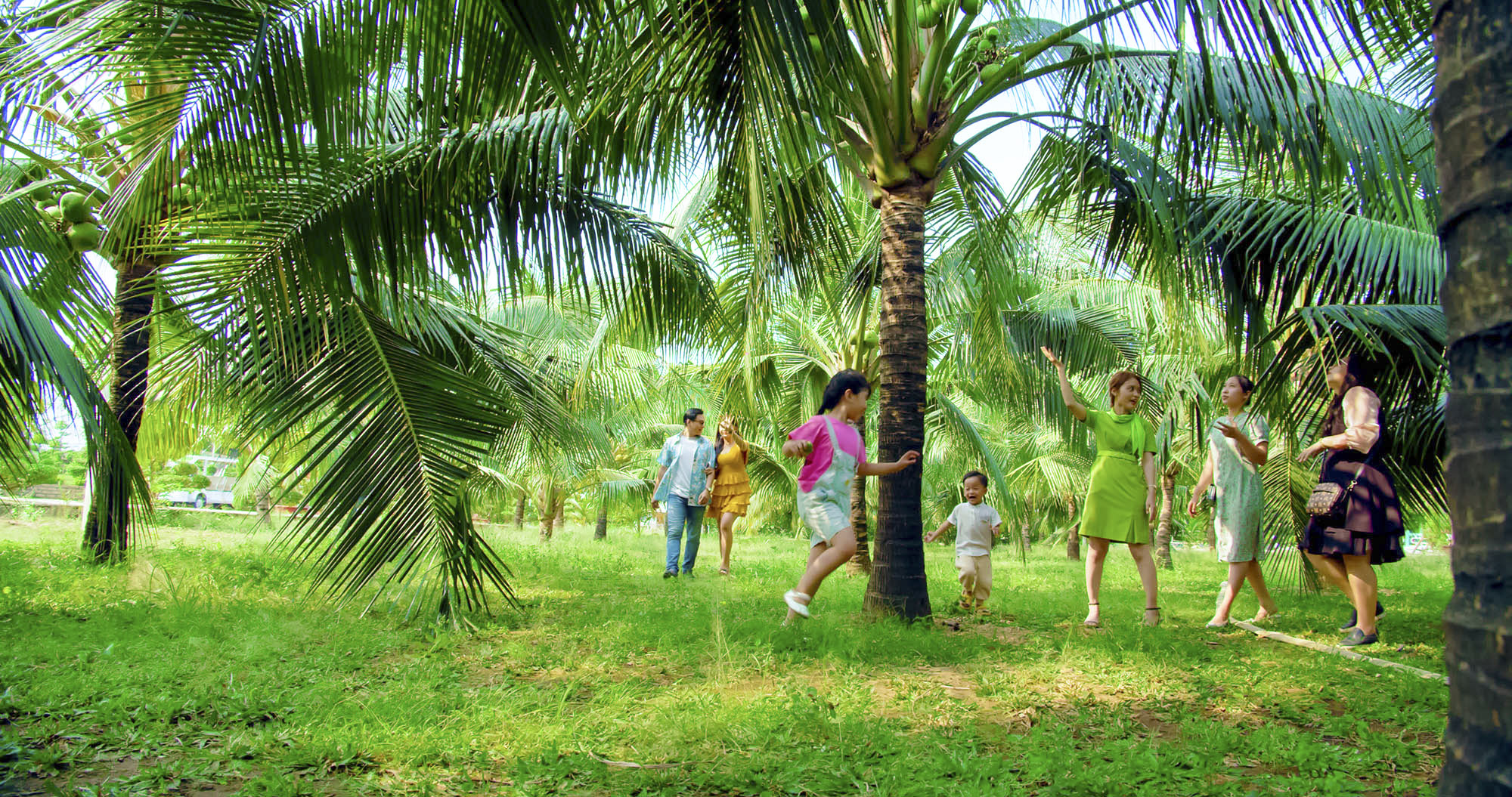 Farm Dừa với không gian xanh mát với những hàng dừa sai trĩu quả vươn mình trên bãi cát trắng.